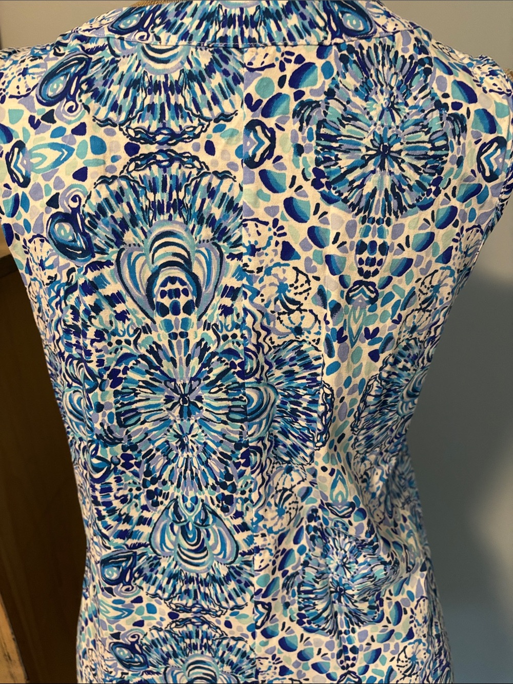 Lilly Pulitzer Blue and White V-Neck Sleeveless Mini Cotton Dress - Picture 5 of 7